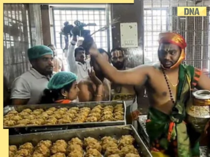 TTD Laddu Ghee Scandal: Pomil Jain, Vipin Jain among 36 accused in Rs 250 crore adulteration case