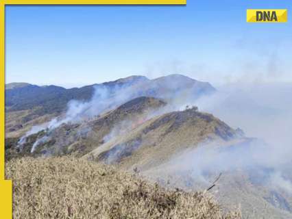Fire in Nagaland’s Dzukou Valley continues to spread, Manipur’s tallest peak at risk, authorities on high alert