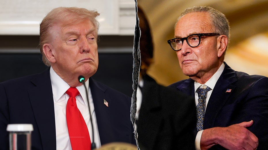 Trump, Schumer reach government funding deal, sacrifice DHS spending bill in the process Trump, Schumer reach government funding deal, sacrifice DHS spending bill in the process