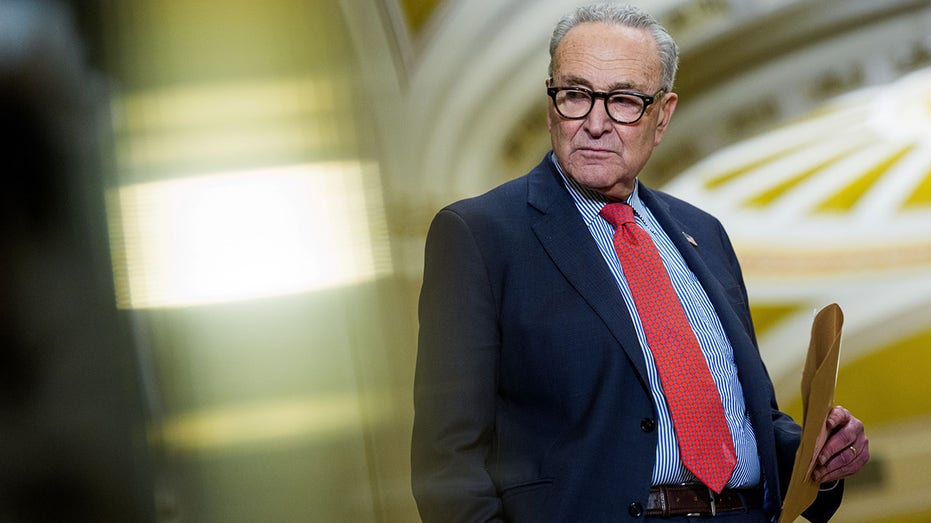 Schumer reveals ‘bipartisan’ plans to reverse DOGE cuts as lawmakers work through funding push
