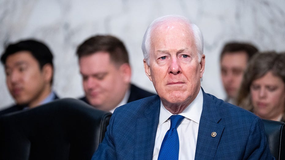 Cornyn pushes ‘zero mercy’ law to deport illegal immigrants convicted of deadly drunk driving