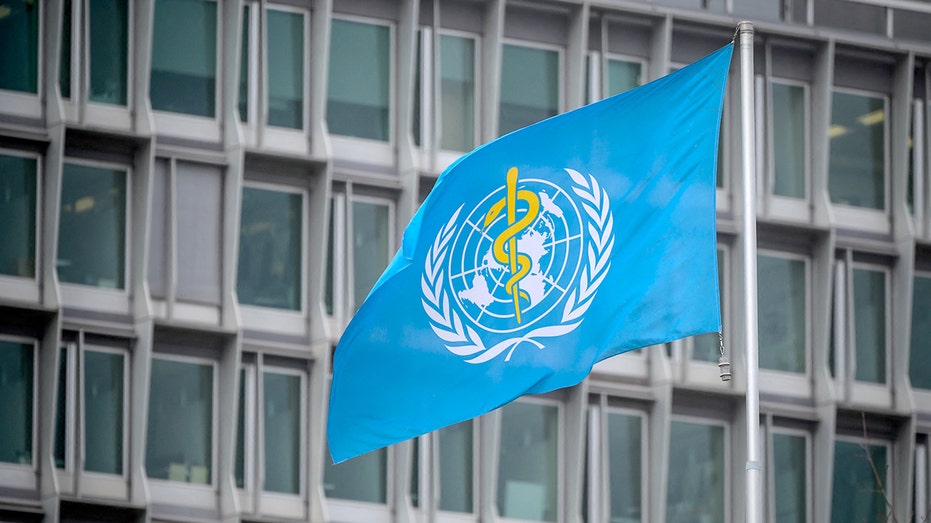 World Health Organization says US withdrawal makes the nation and the world ‘less safe’ World Health Organization says US withdrawal makes the nation and the world ‘less safe’