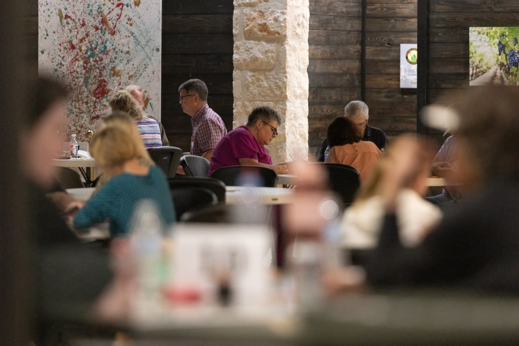 Gillespie County Republicans scale back hand-count amid staffing shortage