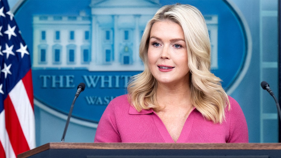 Leavitt flips script on media for balking at Fulton election probe after years of promoting Russia claims