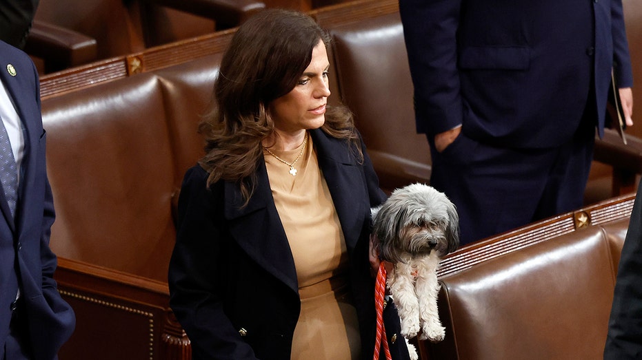 Nancy Mace proposes bill to make aliens deportable, inadmissible for animal cruelty Nancy Mace proposes bill to make aliens deportable, inadmissible for animal cruelty