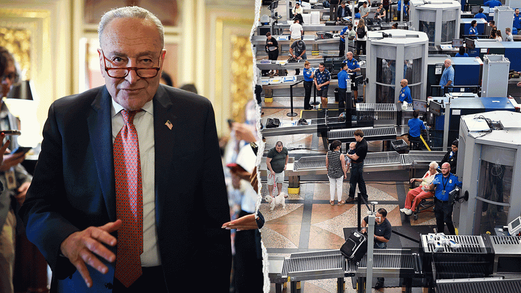 Democrats demanding ICE reforms lose airport escorts in shutdown they triggered