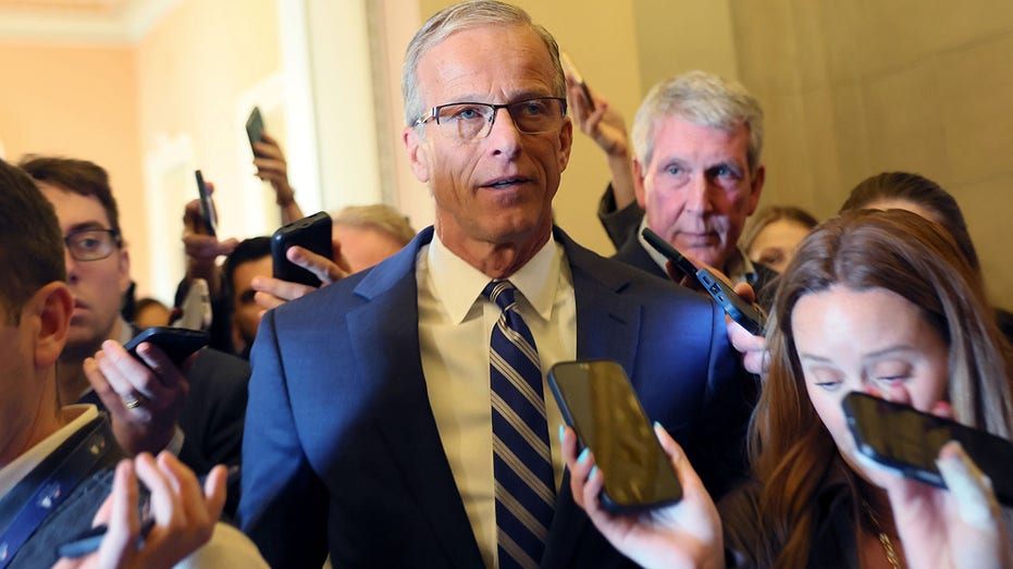 Thune guarantees voter ID bill to hit the Senate despite Schumer, Dem opposition: ‘We will have a vote’ Thune guarantees voter ID bill to hit the Senate despite Schumer, Dem opposition: ‘We will have a vote’