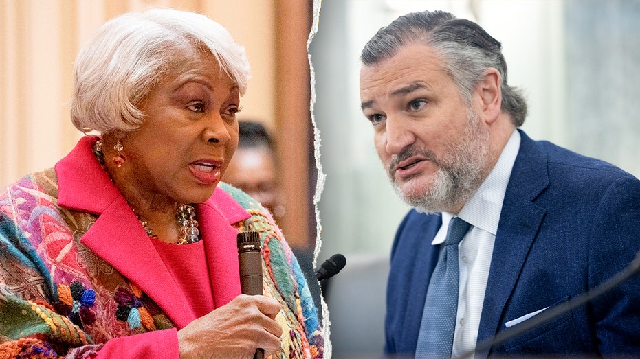 Virginia Democrat gives profanity-laced response to Cruz’s criticism of the state’s redistricting push