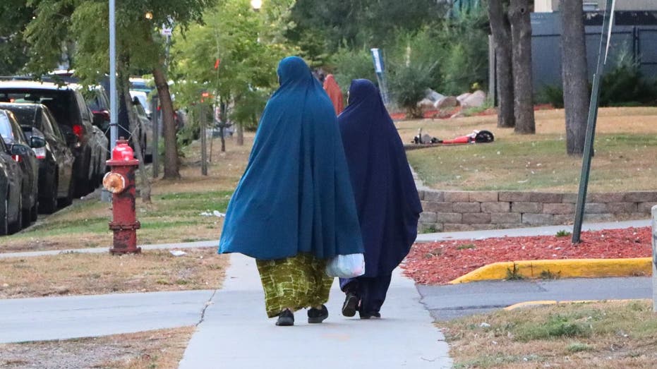 ‘It’s hidden’: Female genital mutilation and the secret shame of Minnesota’s Somalis