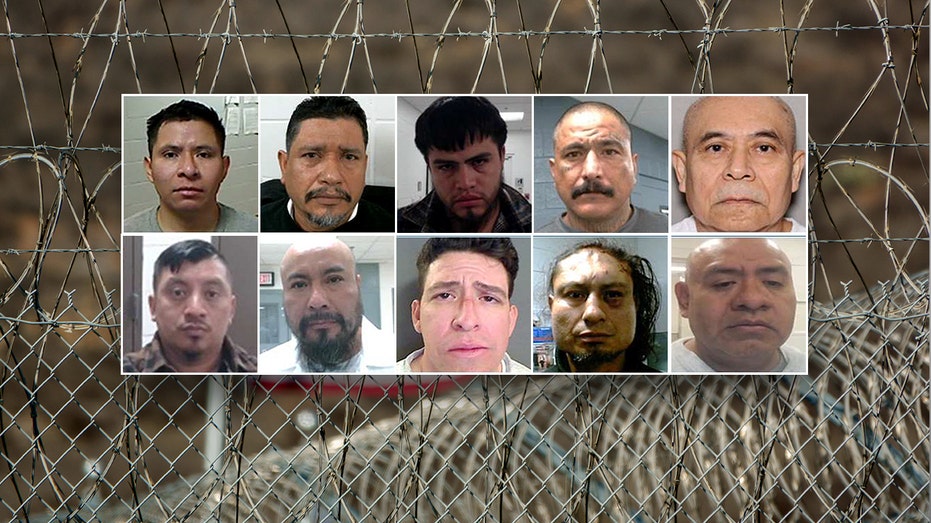 ICE sweeps up convicted pedophiles, traffickers in massive holiday weekend sting: ‘Worst of the worst’ ICE sweeps up convicted pedophiles, traffickers in massive holiday weekend sting: ‘Worst of the worst’