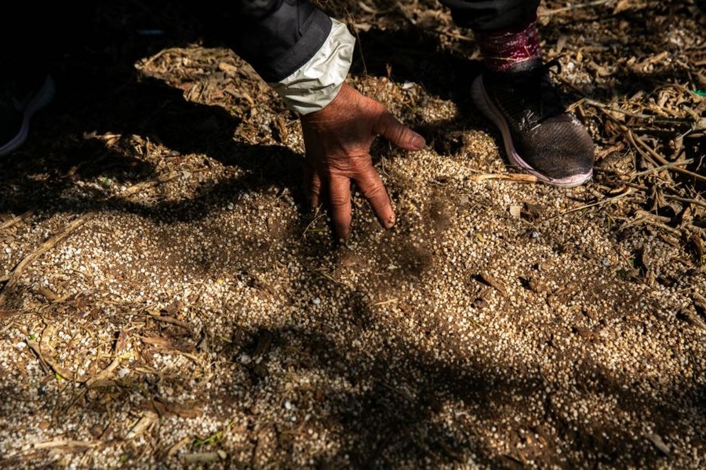 Dow asks Texas to legalize plastic pollution from its Seadrift complex