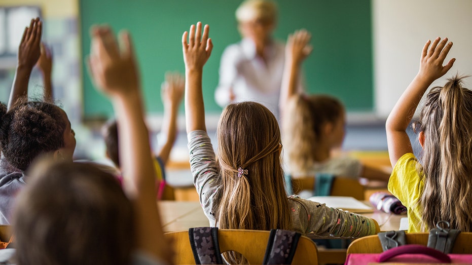 Interactive tool reveals which states stand to lose billions in education funding