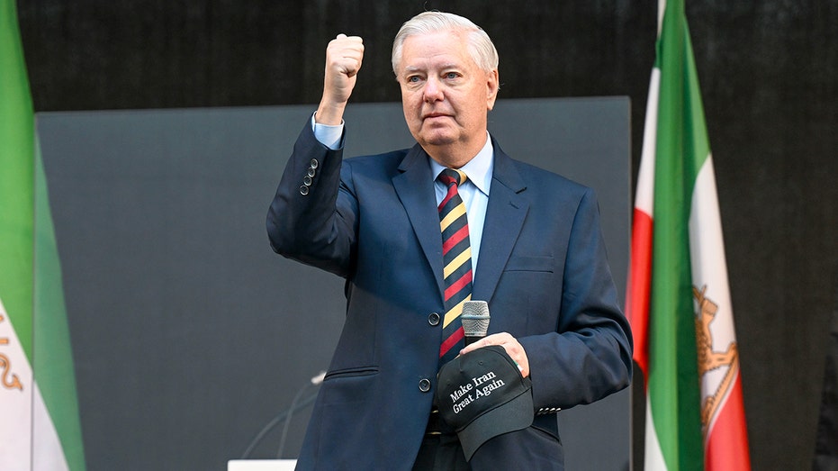 Trump-endorsed Sen Lindsey Graham files for re-election: ‘Nobody is better prepared’