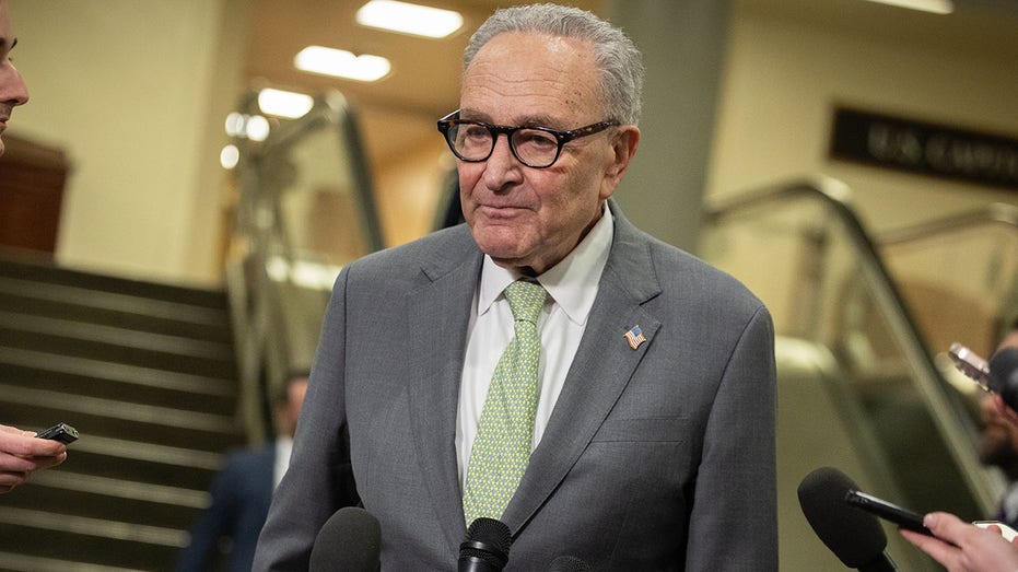 Schumer silent on ending DHS shutdown after deadly shootings hit Michigan, Virginia