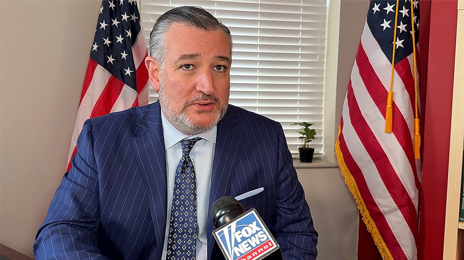 Cruz warns ‘radical Democrats’ will ‘burn it down’ if they win back Congress Cruz warns ‘radical Democrats’ will ‘burn it down’ if they win back Congress