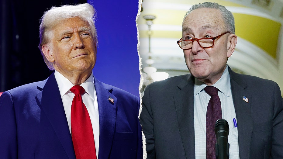 Trump mocks ‘discombobulated’ Schumer over Democrats’ near gaffe on funding ICE