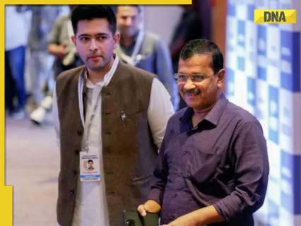 Why was Raghav Chadha removed? Did Arvind Kejriwal punish him for demanding change in structure of AAP?