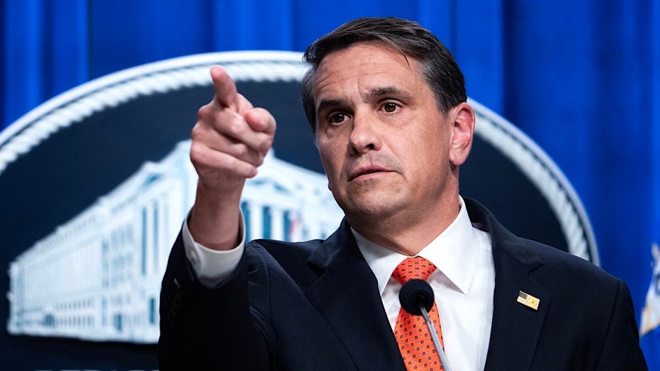 WATCH: Bondi successor reveals shocking number of fraud cases with eye-popping taxpayer theft