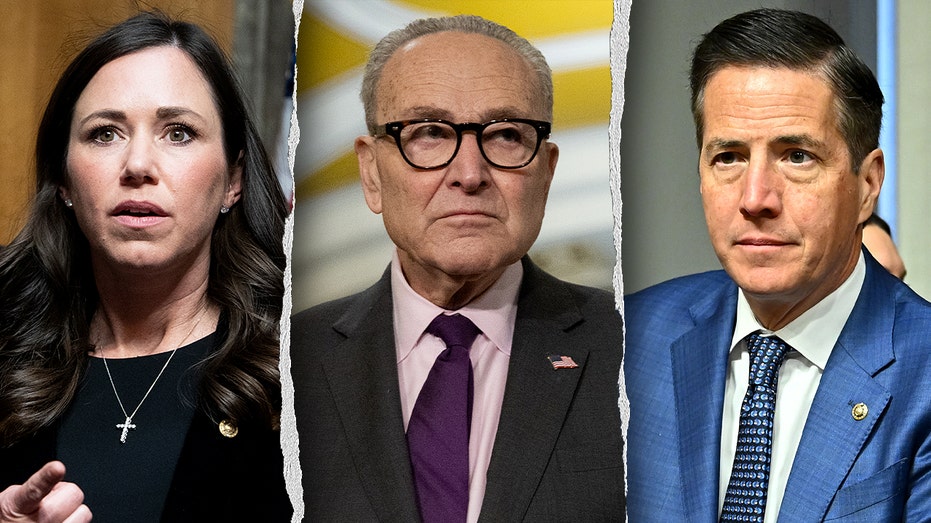 ‘Illegals first’: Senate Republicans blast Schumer’s gambit to force vote on protecting Haitian migrants