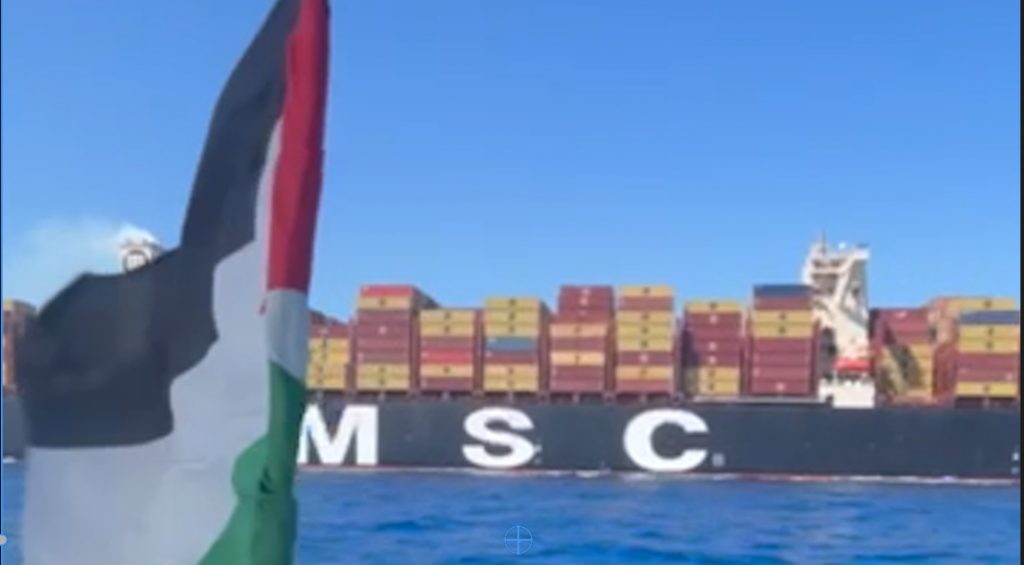 Global Sumud Flotilla disrupts cargo ship bound for Israel
