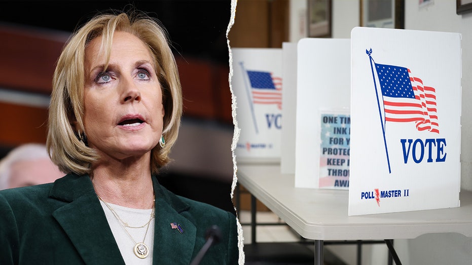 Watchdog, GOP lawmaker warn NY voter registration systems lacks key safeguards Watchdog, GOP lawmaker warn NY voter registration systems lacks key safeguards