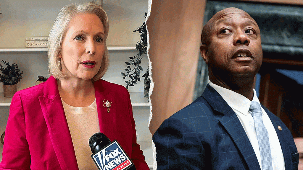 6 months to midterms: The Senate seats that could tip the balance of power