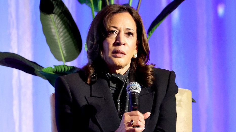 Democrats release 2024 election autopsy that chair says ‘does not meet my standards’ Democrats release 2024 election autopsy that chair says ‘does not meet my standards’