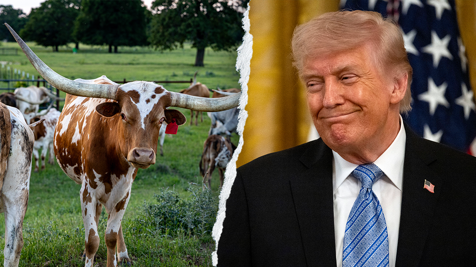 Trump roasts Dem candidate as unelectable for cardinal sin in Texas Trump roasts Dem candidate as unelectable for cardinal sin in Texas