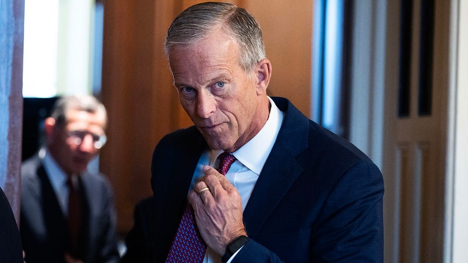 John Thune goes ‘all in’ for Ken Paxton after bitter primary ripped GOP apart John Thune goes ‘all in’ for Ken Paxton after bitter primary ripped GOP apart