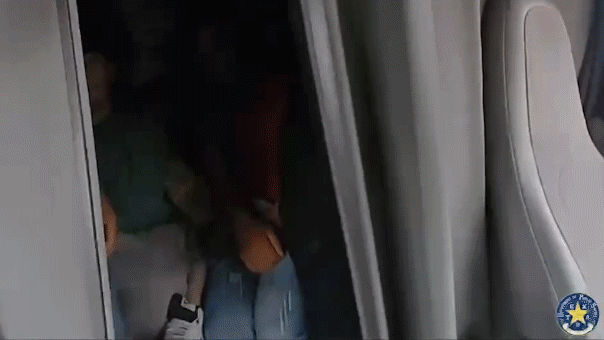 Chaotic border chase ends with illegal immigrants found crammed in semitruck sleeping area Chaotic border chase ends with illegal immigrants found crammed in semitruck sleeping area