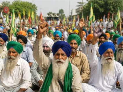 Why farmers are protesting in Punjab and what they want from the govt? Why farmers are protesting in Punjab and what they want from the govt?