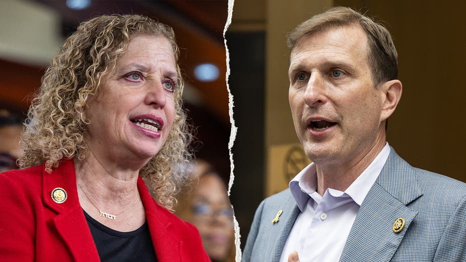 From Wasserman Schultz to Goldman, Democratic incumbents are fighting for survival From Wasserman Schultz to Goldman, Democratic incumbents are fighting for survival