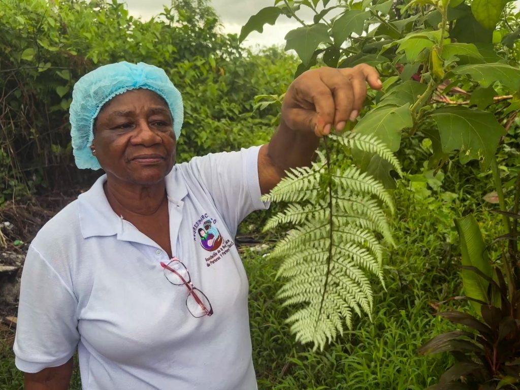How Colombia’s traditional midwives serve as lifelines to rural communities How Colombia’s traditional midwives serve as lifelines to rural communities