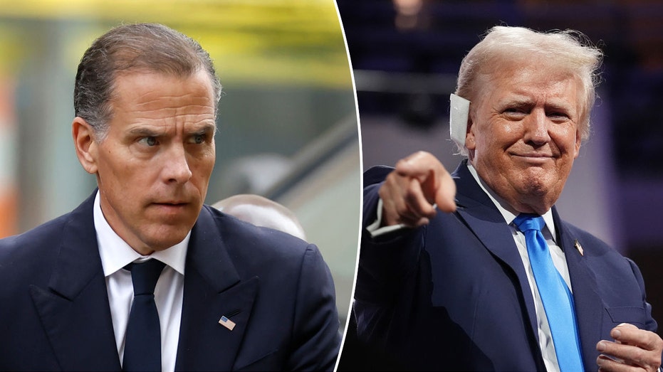 Hunter Biden could mount a successful White House bid given recent Democrat picks: Trump