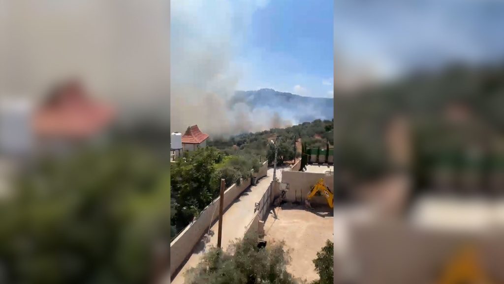 Israeli forces set olive trees on fire in occupied West Bank Israeli forces set olive trees on fire in occupied West Bank