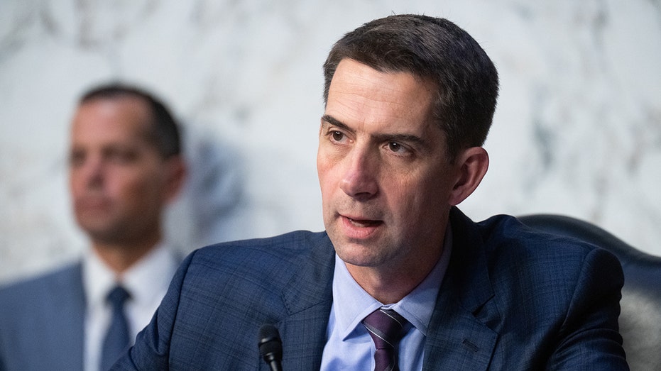 Sen Tom Cotton urges DOJ to probe Chinese bid to ‘kneecap’ American AI