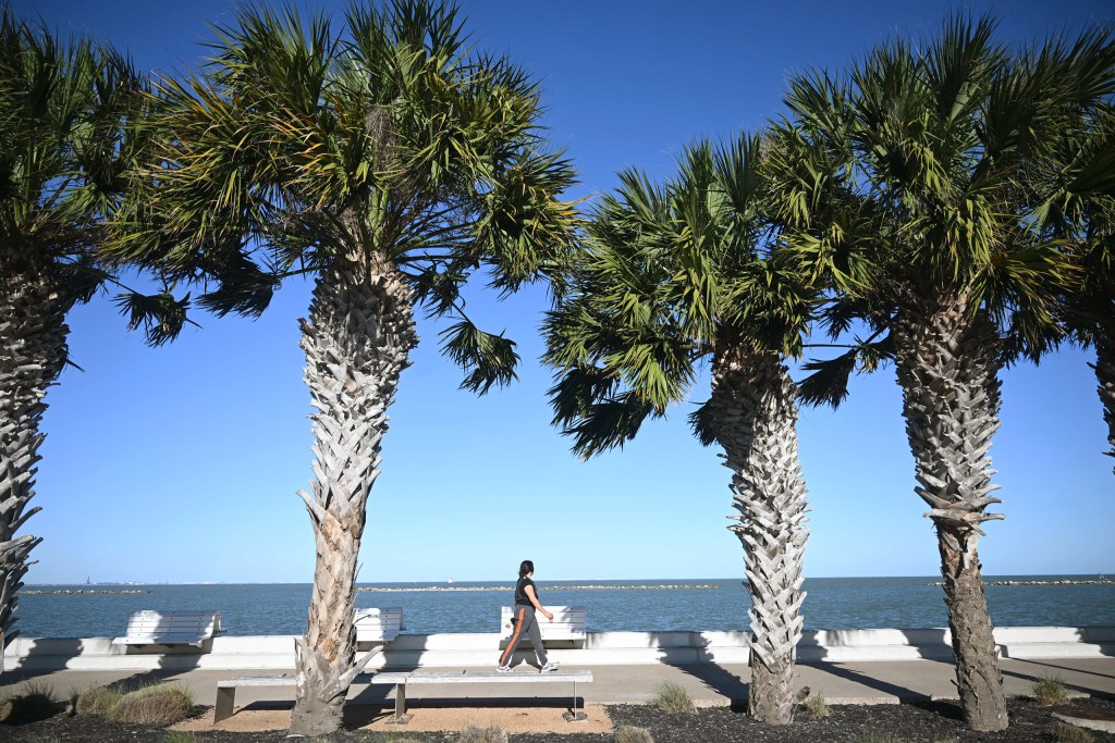 Corpus Christi City Council rejects ,000 community gift to benefit water desalination plant Corpus Christi City Council rejects ,000 community gift to benefit water desalination plant