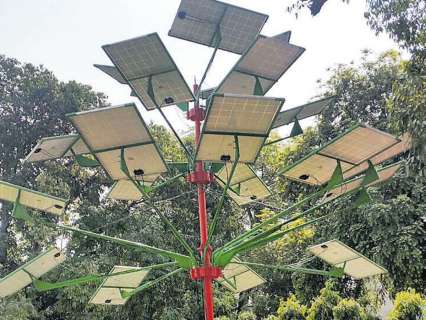 Delhi govt plans to install first solar tree at Secretariat; Here’s how it can reshape urban power supply in the capital Delhi govt plans to install first solar tree at Secretariat; Here’s how it can reshape urban power supply in the capital