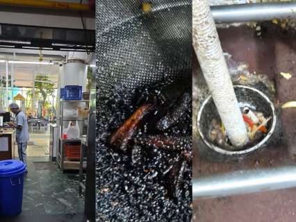Cockroach infestation, poor sanitation, improper food storage: How 5 Mumbai clubs violated FDA Food Safety norms? Cockroach infestation, poor sanitation, improper food storage: How 5 Mumbai clubs violated FDA Food Safety norms?