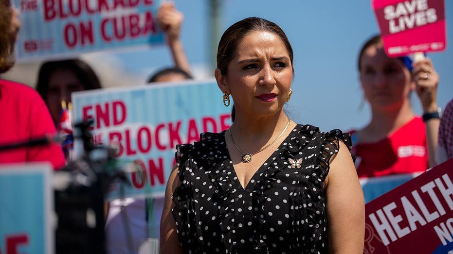 ‘Squad’ member calls DHS ‘greatest threat to our safety’ after ICE-involved shooting ‘Squad’ member calls DHS ‘greatest threat to our safety’ after ICE-involved shooting