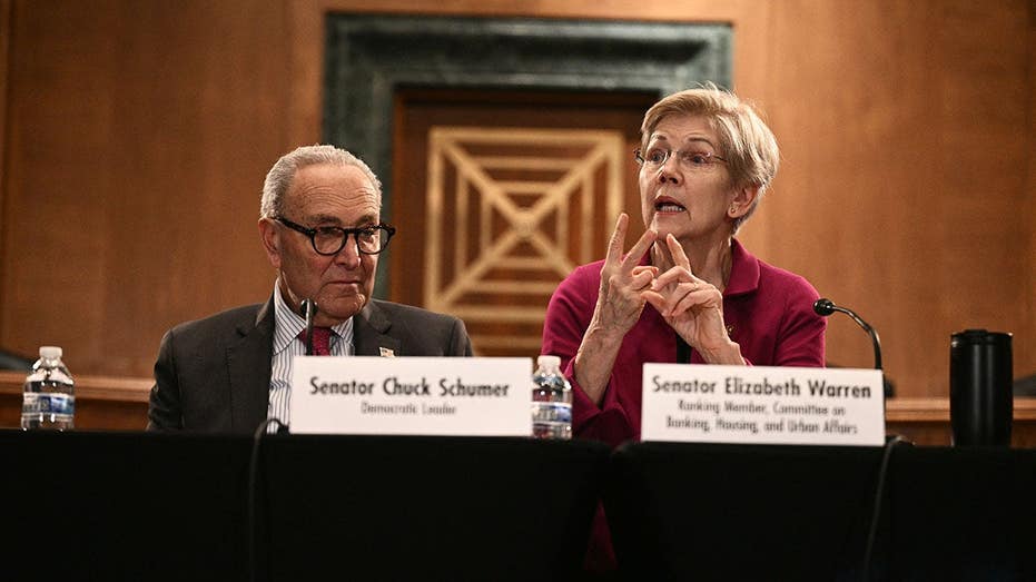 Warren defies Schumer as Dem civil war explodes over must-win Senate race Warren defies Schumer as Dem civil war explodes over must-win Senate race