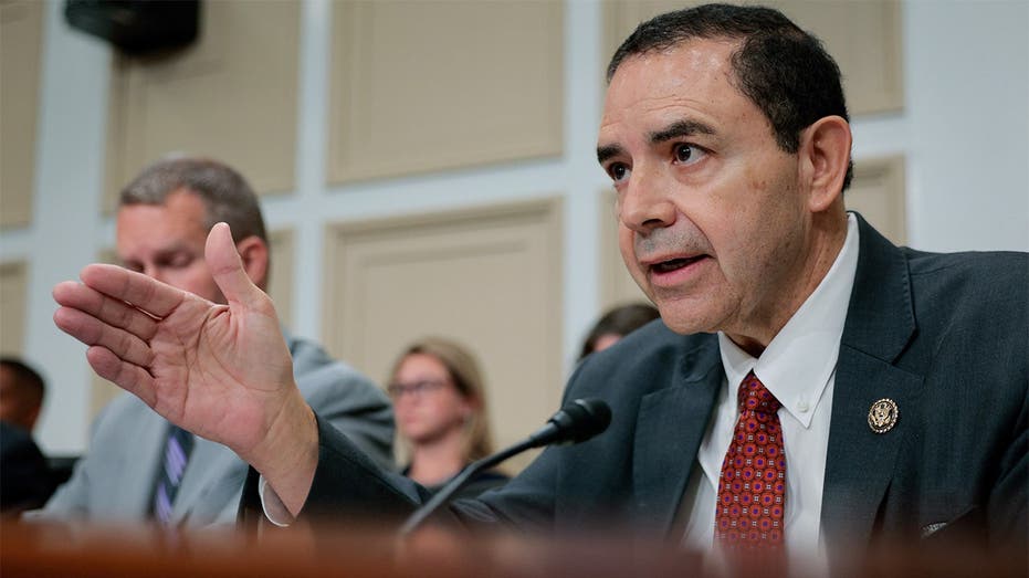 House Dem back in the spotlight as brother faces up to 10 years in prison if convicted House Dem back in the spotlight as brother faces up to 10 years in prison if convicted