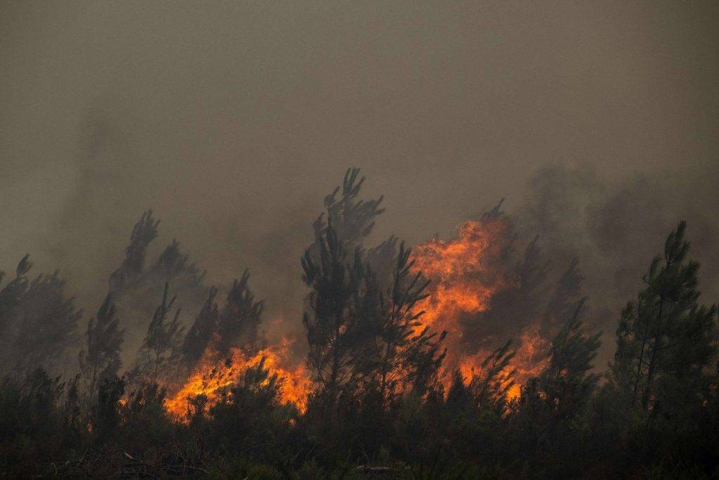 French wildfires trigger mass evacuations around Bordeaux French wildfires trigger mass evacuations around Bordeaux