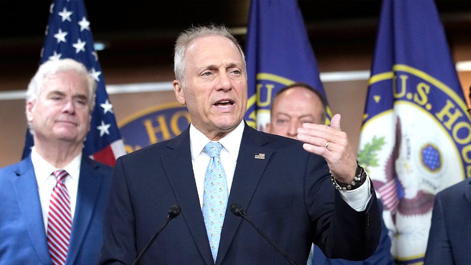 WATCH: Scalise serves up Olive Garden reality check for Democrats in voter ID fight WATCH: Scalise serves up Olive Garden reality check for Democrats in voter ID fight