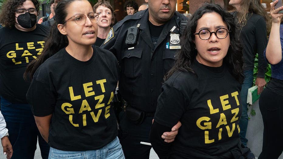 Socialist House hopeful under fire for pro-Palestinian July 4 message Socialist House hopeful under fire for pro-Palestinian July 4 message