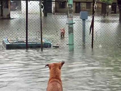 Gujarat, Kerala on red alert as IMD forecasts intense rainfall, thunderstorms Gujarat, Kerala on red alert as IMD forecasts intense rainfall, thunderstorms