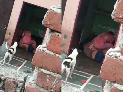 UP horror: Woman strangles husband to death after he opposed her ‘illicit relationship’; video surfaces UP horror: Woman strangles husband to death after he opposed her ‘illicit relationship’; video surfaces