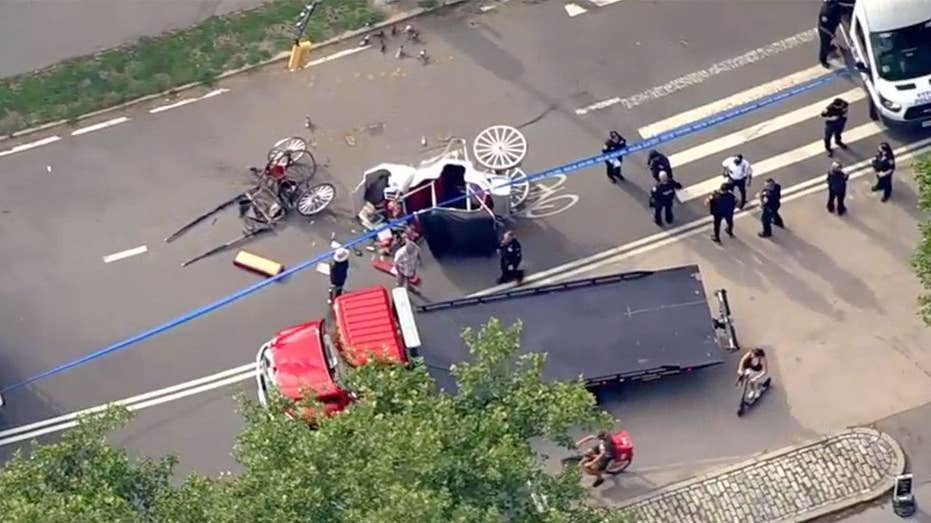 Family seeks 5 million from New York City after teen’s fatal Central Park carriage ride Family seeks 5 million from New York City after teen’s fatal Central Park carriage ride