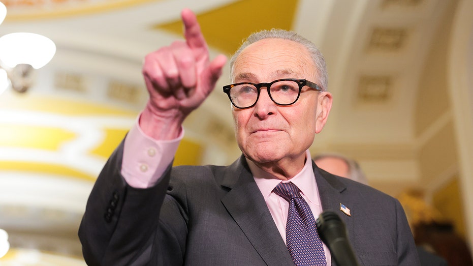 Schumer said ‘Democrats support voter ID’ — then every Senate Democrat voted against GOP bill Schumer said ‘Democrats support voter ID’ — then every Senate Democrat voted against GOP bill