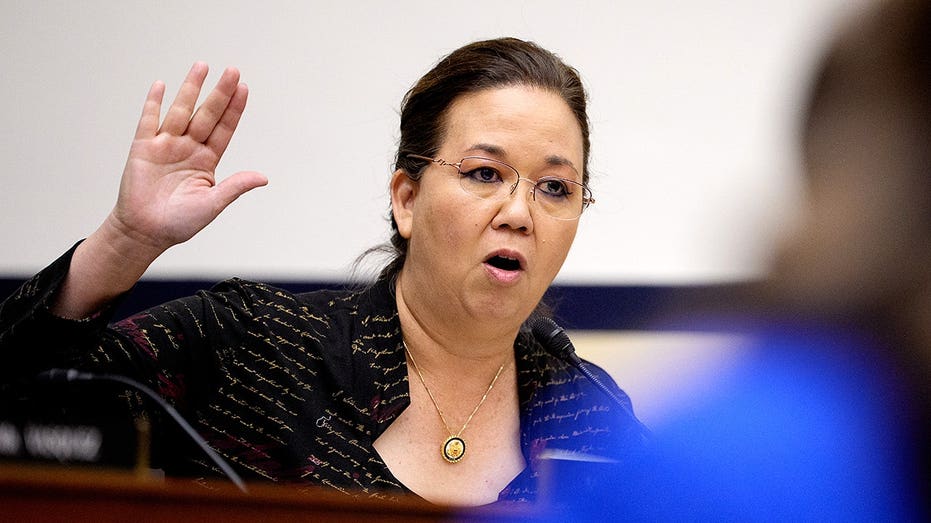 Hawaii rep cruises to Dem primary win after challenger arrested for beach brawl Hawaii rep cruises to Dem primary win after challenger arrested for beach brawl